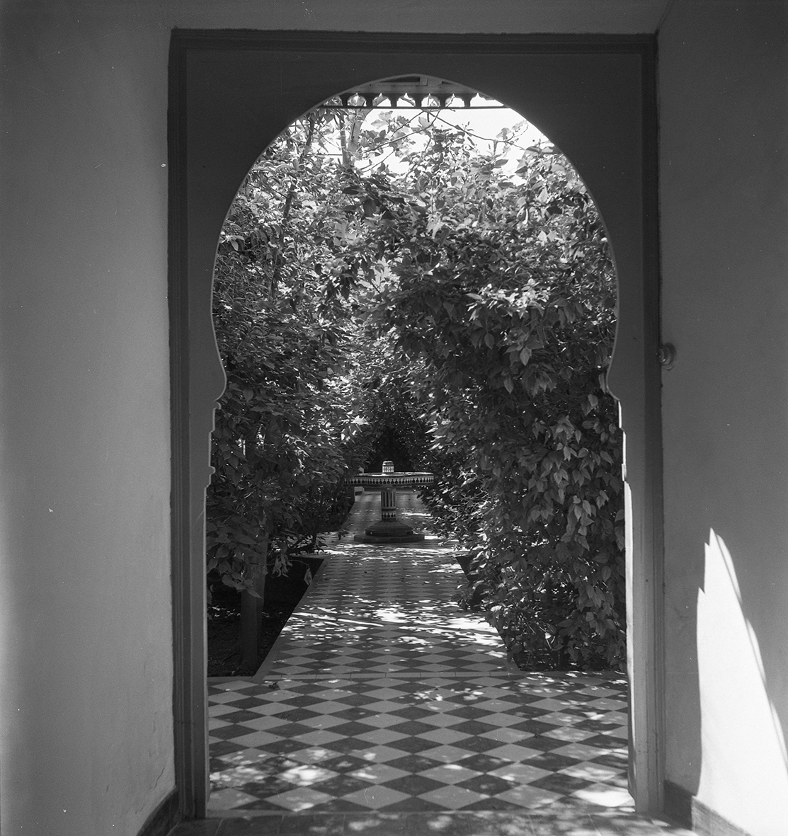 Photographie historique du fonds de la Maison de la Photographie