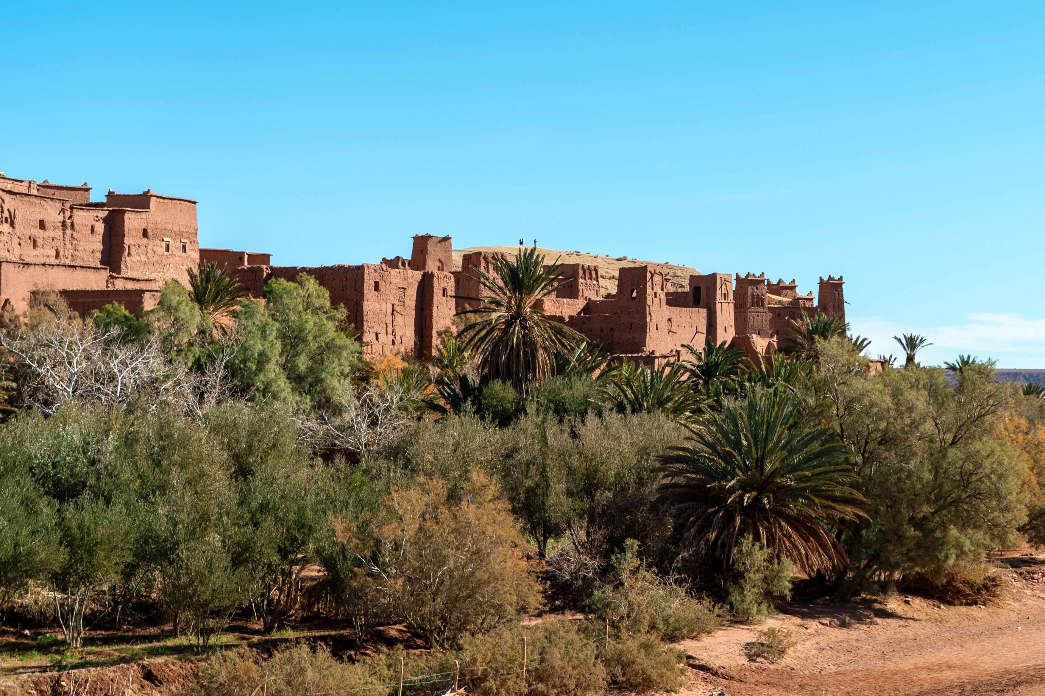 Le design marocain en 2026